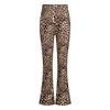 BROEK D-ZINE