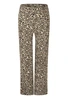 BROEK D-ZINE
