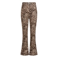 BROEK D-ZINE