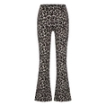 BROEK D-ZINE