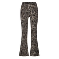 BROEK D-ZINE