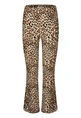 BROEK D-ZINE