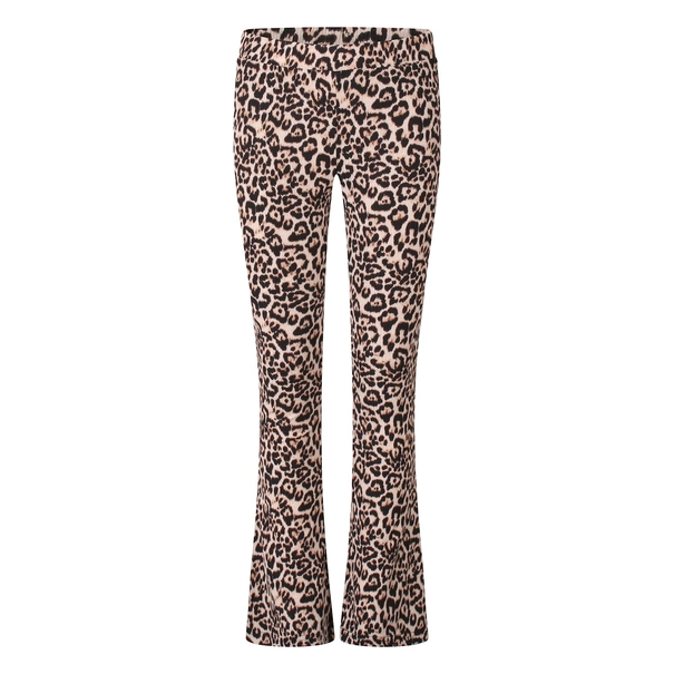 BROEK D-ZINE