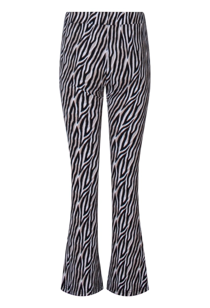 BROEK D-ZINE