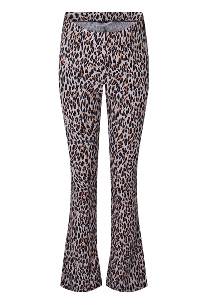 BROEK D-ZINE