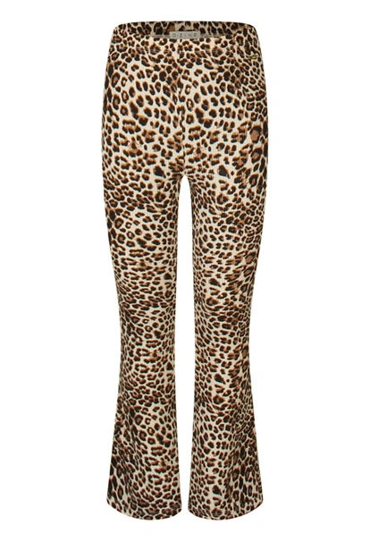 BROEK D-ZINE