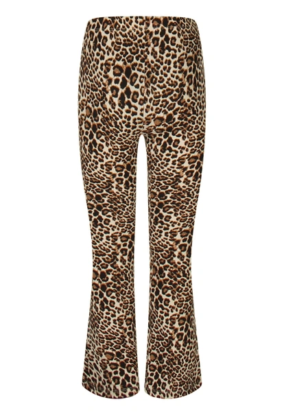 BROEK D-ZINE
