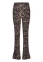 BROEK D-ZINE