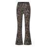 BROEK D-ZINE