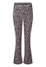 BROEK D-ZINE