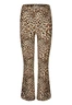 BROEK D-ZINE