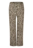 BROEK D-ZINE