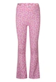 BROEK PERSIVAL
