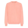 SWEATSHIRT BLEND