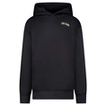 SWEATSHIRT CARS