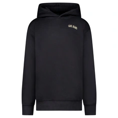 SWEATSHIRT CARS