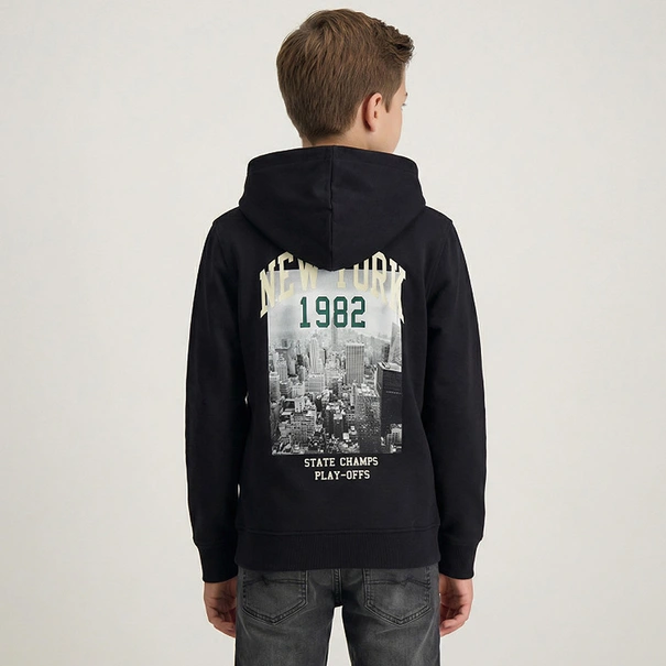 SWEATSHIRT CARS