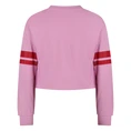 SWEATSHIRT D-ZINE