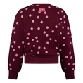 SWEATSHIRT D-ZINE