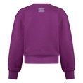 SWEATSHIRT D-ZINE