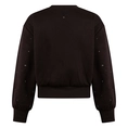SWEATSHIRT D-ZINE