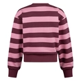 SWEATSHIRT D-ZINE