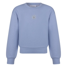 SWEATSHIRT D-ZINE
