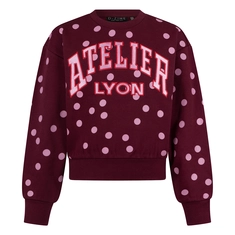 SWEATSHIRT D-ZINE