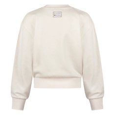 SWEATSHIRT D-ZINE