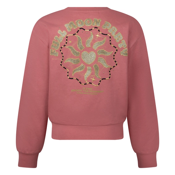SWEATSHIRT D-ZINE