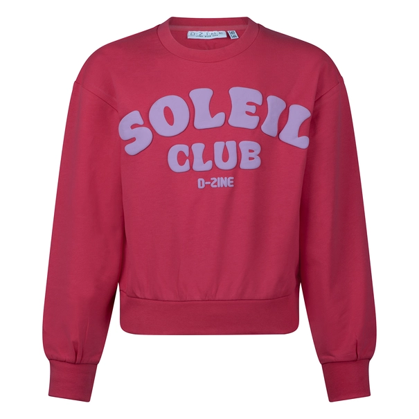 SWEATSHIRT D-ZINE