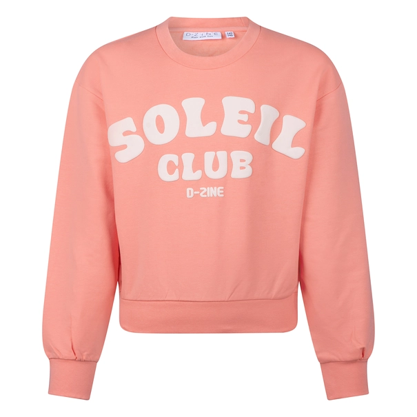 SWEATSHIRT D-ZINE