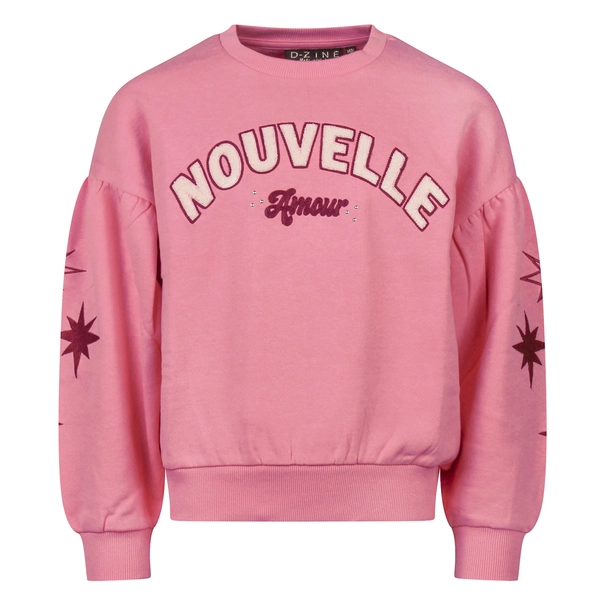 SWEATSHIRT D-ZINE