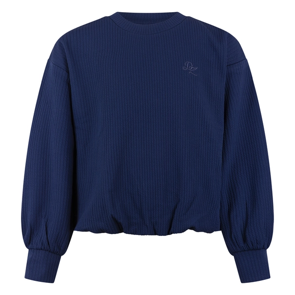 SWEATSHIRT D-ZINE