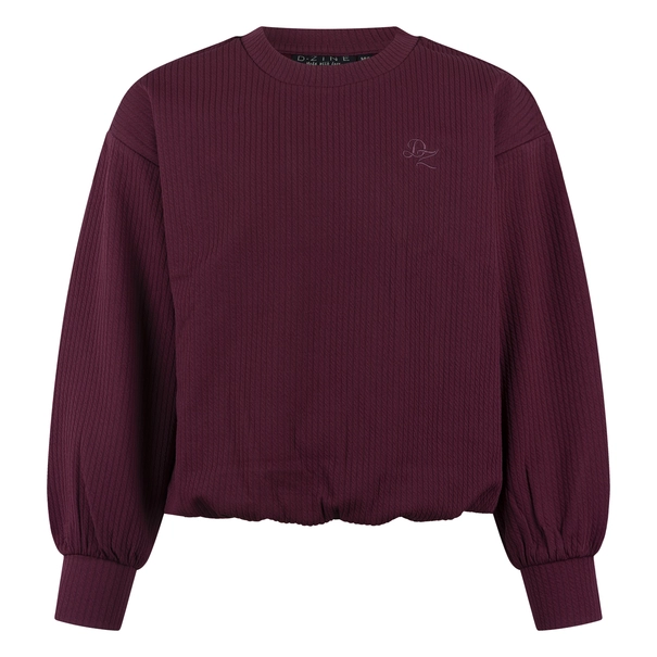 SWEATSHIRT D-ZINE