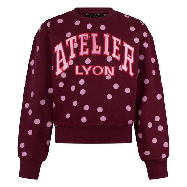 SWEATSHIRT D-ZINE