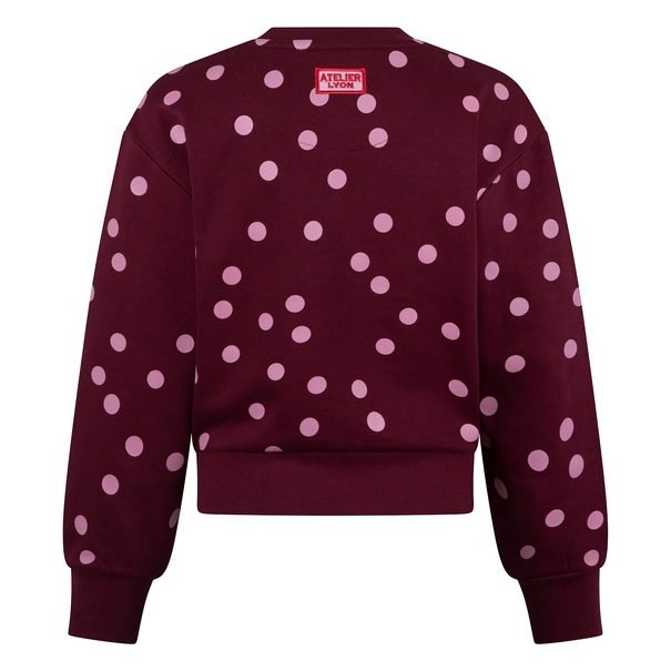 SWEATSHIRT D-ZINE