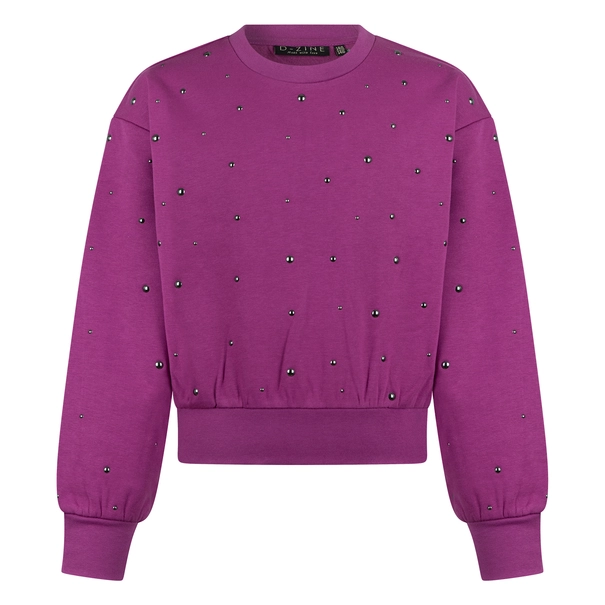 SWEATSHIRT D-ZINE