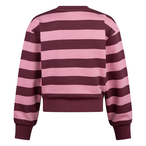 SWEATSHIRT D-ZINE