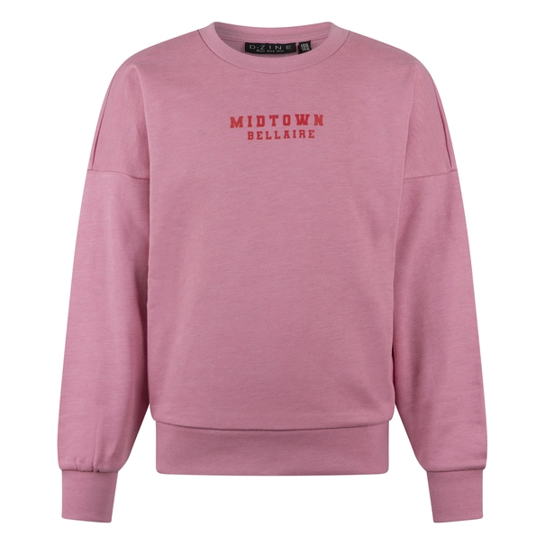 SWEATSHIRT D-ZINE