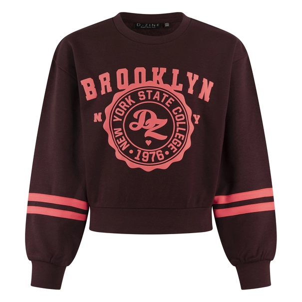 SWEATSHIRT D-ZINE