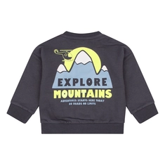 SWEATSHIRT FLINQ