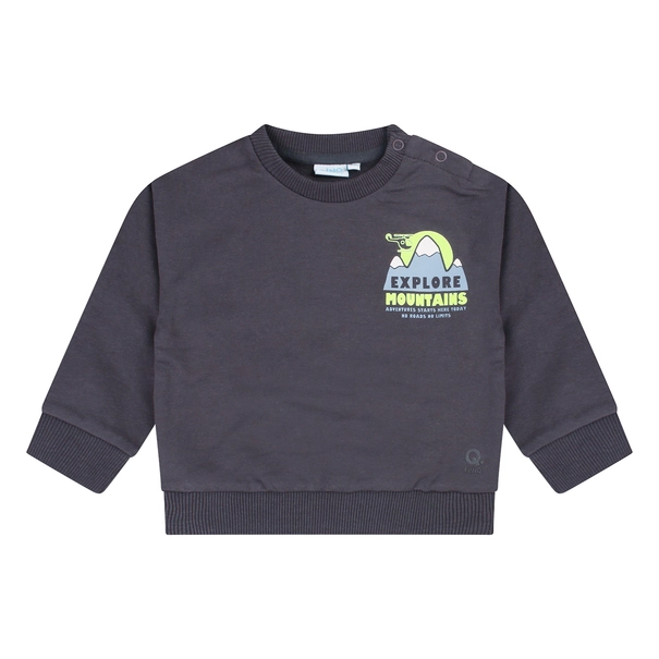 SWEATSHIRT FLINQ