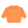 SWEATSHIRT FLINQ