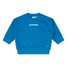 SWEATSHIRT FLINQ