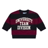SWEATSHIRT FLINQ