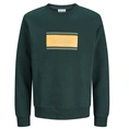 SWEATSHIRT JACK&JONES JR.