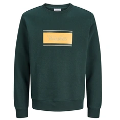 SWEATSHIRT JACK&JONES JR.