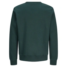 SWEATSHIRT JACK&JONES JR.