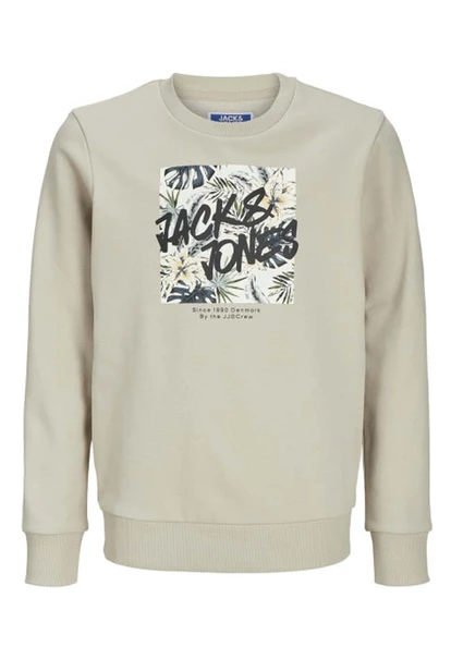 SWEATSHIRT JACK&JONES JR.